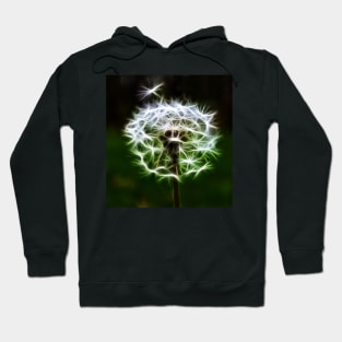 Dandelion Hoodie